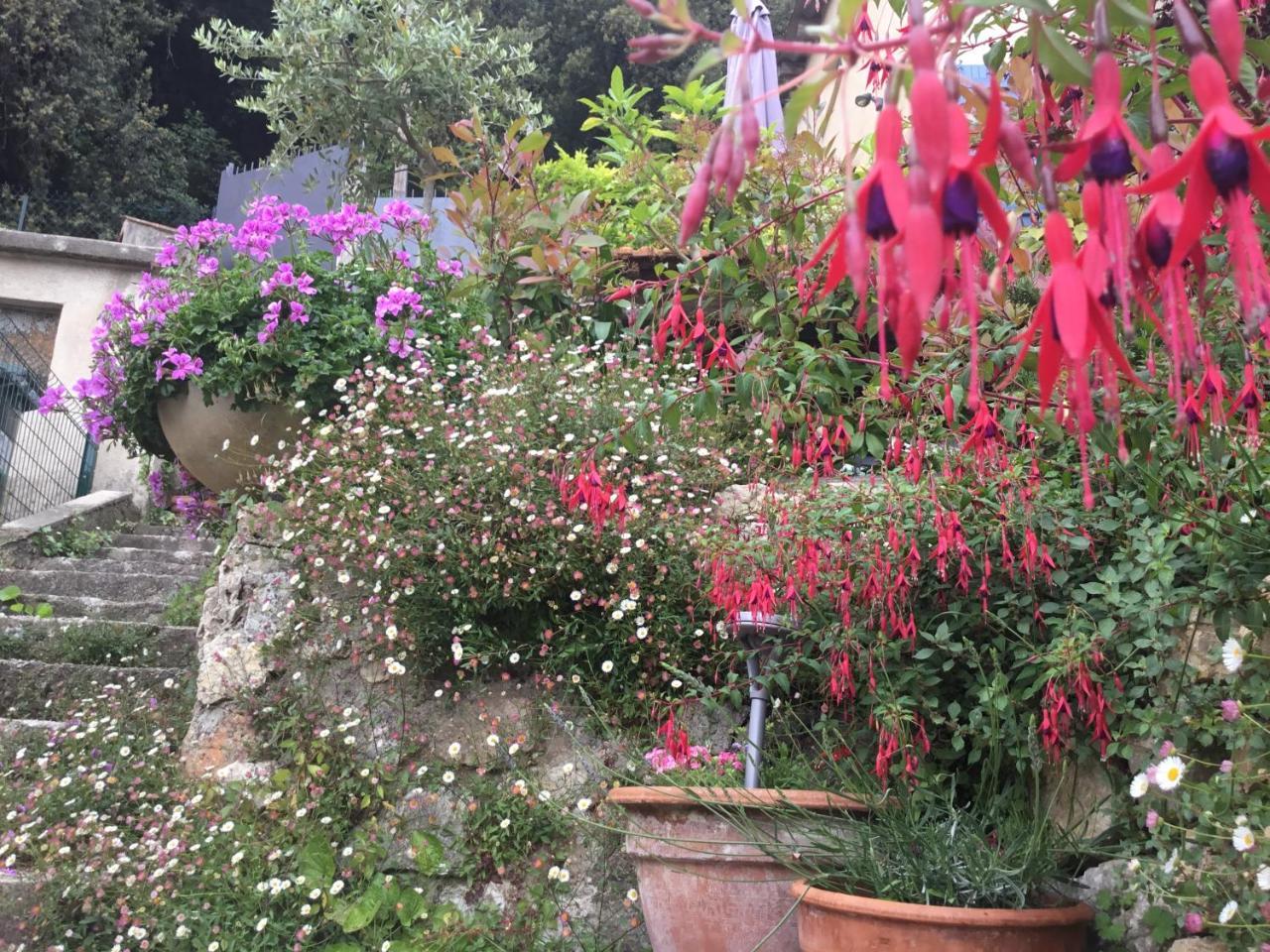 Skylark Bed & Breakfast Grasse Exterior foto